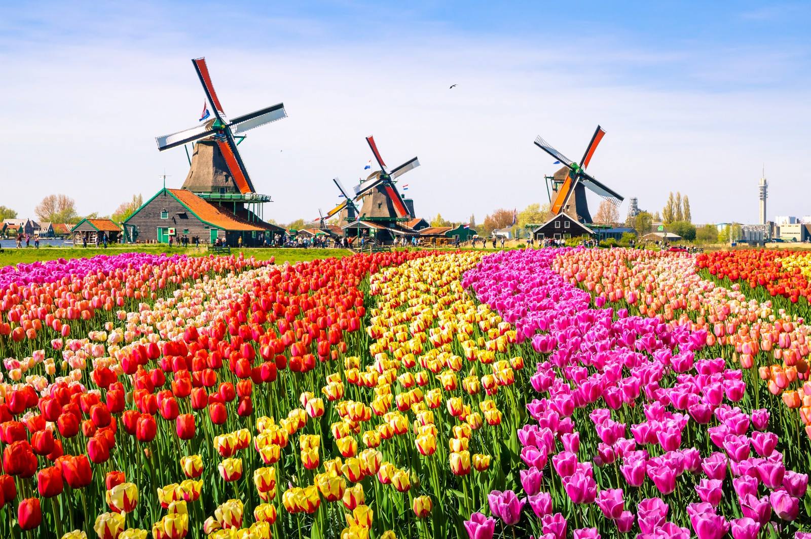 Lelystad